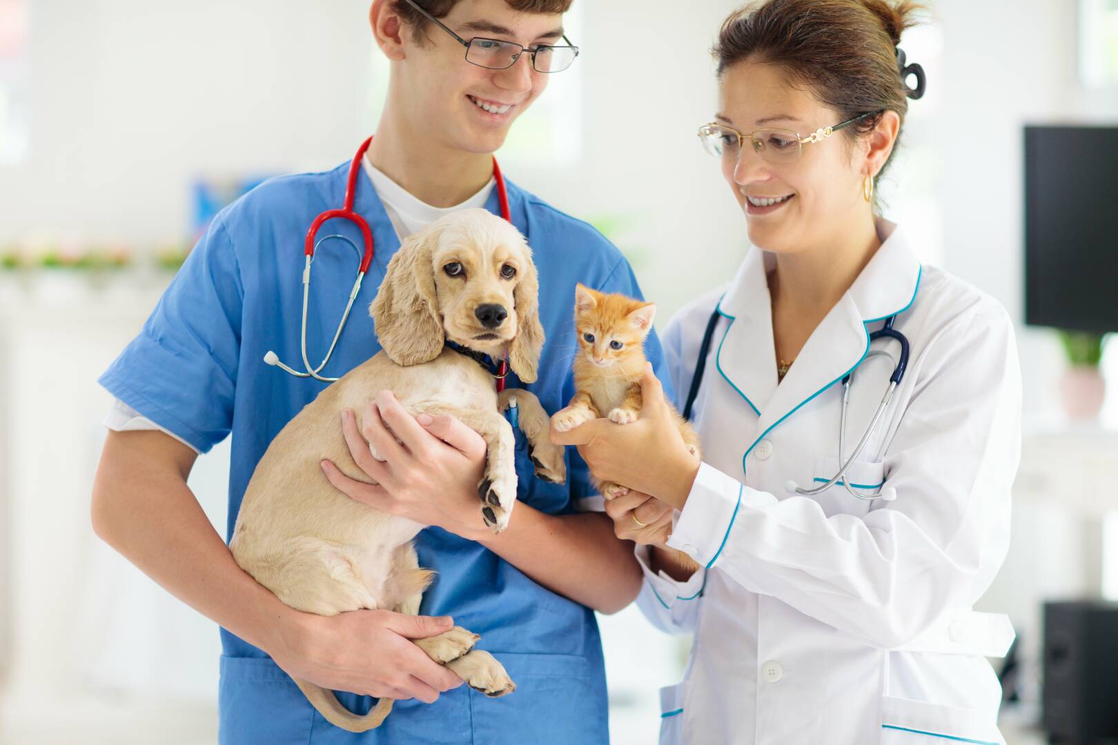 Murrells Inlet Veterinary Hospital logo